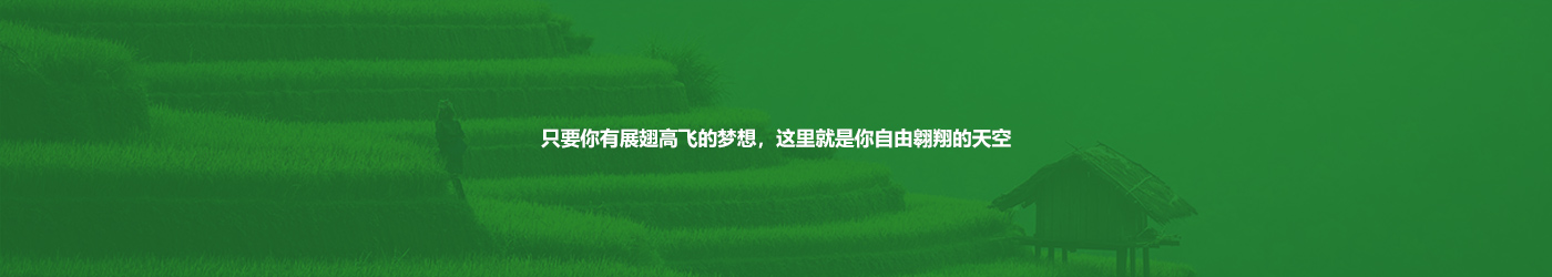 NG官网 - 相信品牌的力量