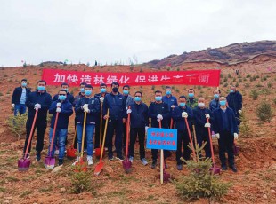 NG官网公司参与2022年春季使命植树活动